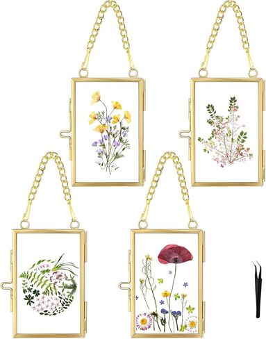 FOCHIER F 3 Pcs Pressed Flower Frames with Tweezers, Wall Hanging Double Glass Frames with Metal Chain for Pressed Dried Flowers Plants, Golden in Kuwait