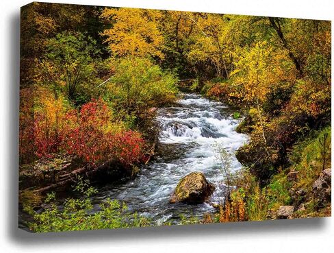 Black Hills Canvas Wall Art (على استعداد للتعليق) معرض أوراق الشجر الخريف المحيطة بالخور في يوم الخريف في Spearfish Canyon South Dakota Western Photography Nature Decor (.75 "العمق ، 8" × 12 ") in Kuwait