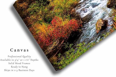 Black Hills Canvas Wall Art (على استعداد للتعليق) معرض أوراق الشجر الخريف المحيطة بالخور في يوم الخريف في Spearfish Canyon South Dakota Western Photography Nature Decor (.75 "العمق ، 8" × 12 ") in Kuwait