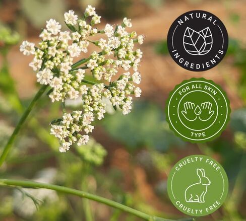 Garlic Essential Oil - 2 fl oz - 100% Pure & Natural, Undiluted - GreenHealth in Saudi Arabia