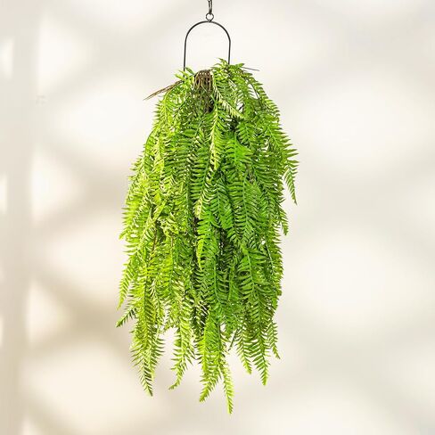 قطعتان من النباتات الاصطناعية المعلقة، أوراق نبات الوحوش المعلقة المزيفة، أوراق اللبلاب والكرمة الصناعية وأوراق النخيل الاستوائية في الهواء الطلق، نباتات معلقة لديكور المنزل والحديقة in Kuwait