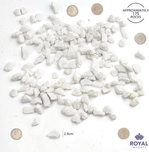 Royal Imports 5LBS River Rocks Decorative Ornamental Pebbles, Garden Landscaping Stones, Natural Gravel Filler for Plants, Vases, Succulents, Home Decor, Arts, Crafting, Animal Habitat - Small Black in Kuwait