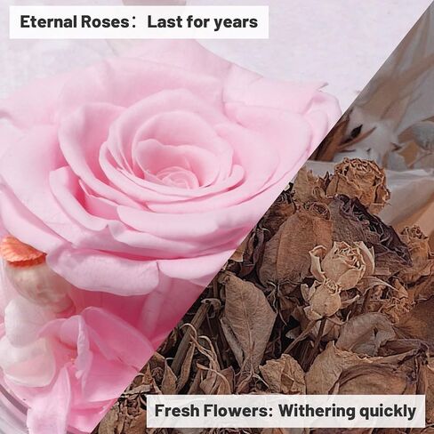 Yamonic Preserved Flowers Rose Birthday Gifts for Women Mom in Glass Angel Figurines,Mothers Day Rose Gifts for Mom Grandma,Christmas Angel Rose Gifts for Her,Mothers,Valentine's Day,Anniversary(Pink) in Saudi Arabia