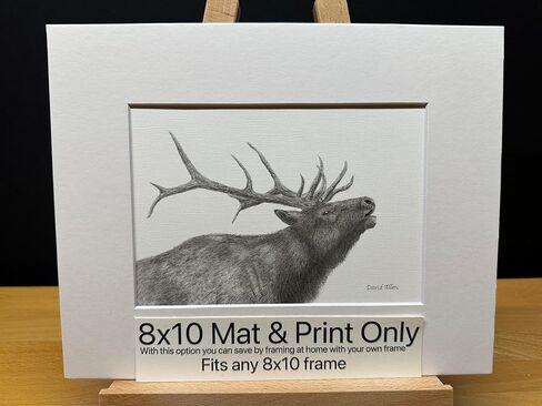 Elk Bull Bucle Call Call Call Nature Wildlife Graphite Pencil رسم رسم صورة محدودة الإصدار "Call of the Wild" لـ David Allen (8x10 White Frame & Print) in Saudi Arabia