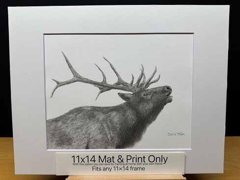 Elk Bull Bucle Call Call Call Nature Wildlife Graphite Pencil رسم رسم صورة محدودة الإصدار "Call of the Wild" لـ David Allen (8x10 White Frame & Print) in Saudi Arabia