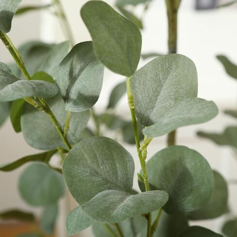 Artificial Eucalyptus Tree, 6ft Tall Fake Silk Plants for Indoor Home Decor, Large Faux Eucalyptus Tree with 10.5 in White Planter for Office Home Living Room Decor, 1 Pack in Kuwait
