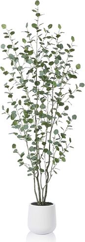 Artificial Eucalyptus Tree, 6ft Tall Fake Silk Plants for Indoor Home Decor, Large Faux Eucalyptus Tree with 10.5 in White Planter for Office Home Living Room Decor, 1 Pack in Kuwait