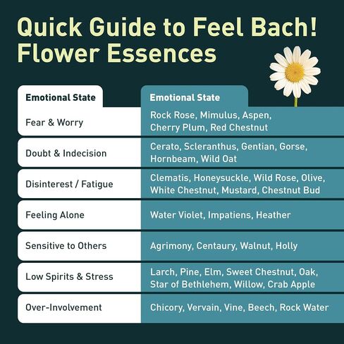 Feel Bach! Sweet Dreams #2 Remedy - Natural Homeopathic Flower Essences for Restful Sleep & Emotional Tension - Reduces Fatigue Vegan, Gluten & Sugar-Free, Non-Habit Forming, 20ml (0.7 fl oz) in Saudi Arabia