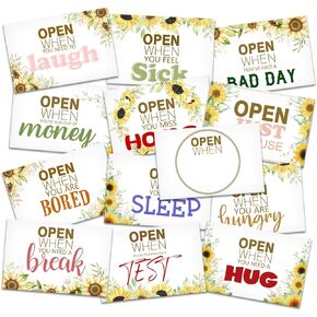 Colorful Open When Envelopes for University College Student, Leaving Home Daughter Son Gifts, Boyfriend or Girlfriend College Care Package, Long Distance Relationship Friend Gift, 16 Envelopes -01