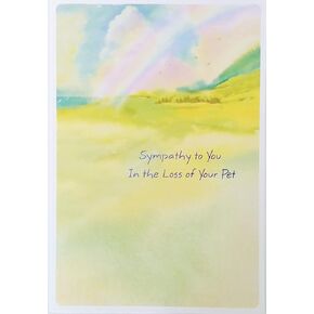 Sympathy To You In The Loss of Your Pet Cat Dog This Little Soul Left A Rainbow In Your Heart