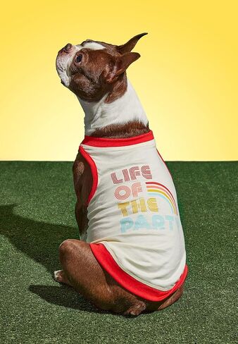 Life of The Party Dog Tank; Pre-Shrunk Cotton Pet Muscle Tank; Medium (22" Chest); Cute Dog Accessories with Eye-Catching Design in Kuwait