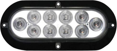 مصباح LED 76871 من Grand General (Mega 10 Plus بيضاوي كهرماني/شفاف مع شفة سوداء و3 أسلاك)، عبوة واحدة in Saudi Arabia