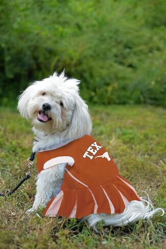 Pets First NCAA Texas Longhorns Dog Cheerleader Outfit, Small in Saudi Arabia
