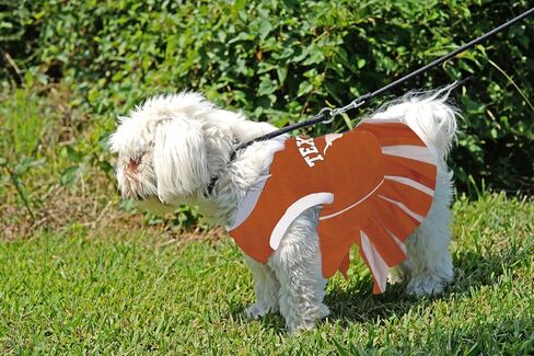 Pets First NCAA Texas Longhorns Dog Cheerleader Outfit, Small in Saudi Arabia