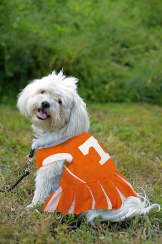 Pets First NCAA Texas Longhorns Dog Cheerleader Outfit, Small in Saudi Arabia
