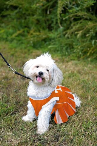 Pets First NCAA Texas Longhorns Dog Cheerleader Outfit, Small in Saudi Arabia