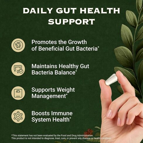 Akkermansia Muciniphila Probiotic - 10 مليار CFU GLP-1 معزز مع Lactobacillus Salivarius، Betaine HCL، Inulin، Tributyrin - مكمل ألياف لصحة الأمعاء وإدارة الوزن in Saudi Arabia