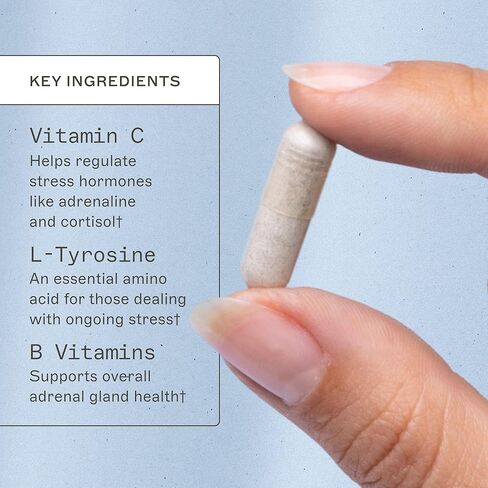 الأمعاء استعادة البيتين HCL مع البيبسين ايمي مايرز - يدعم امتصاص الكالسيوم والحديد والمعادن الأخرى. عرق السوس والدردار الزلق ومستخلص جذور الخطمي، يساعد على تخفيف حساسية الطعام - 100 كبسولة in Kuwait