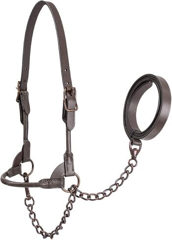 Derby Originals Bronze Beauty Premium Round Rolled Leather Cattle Show Halter with Matching Chain Lead in Saudi Arabia
