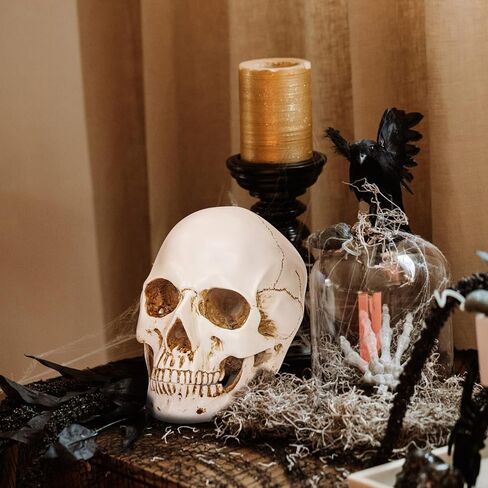Resin Gold Skull Model - Life Size High Fidelity Sculpture for Halloween Decor Statues, Home Decoration & Artistic Display in Saudi Arabia