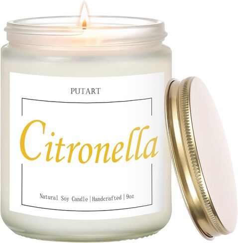 Eucalyptus Mint Highly Scented Candles, Natural Soy Aromatherapy Organic Non Toxic Candles with Long Lasting Burn, Luxury Essential Fragrance Jar Candle Gift for Birthday, Housewarming (9oz) in Saudi Arabia
