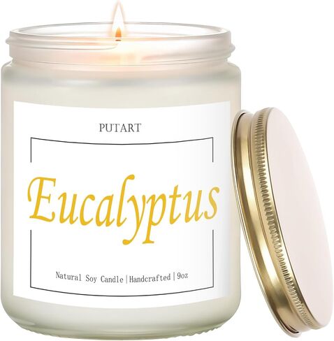 Eucalyptus Mint Highly Scented Candles, Natural Soy Aromatherapy Organic Non Toxic Candles with Long Lasting Burn, Luxury Essential Fragrance Jar Candle Gift for Birthday, Housewarming (9oz) in Saudi Arabia