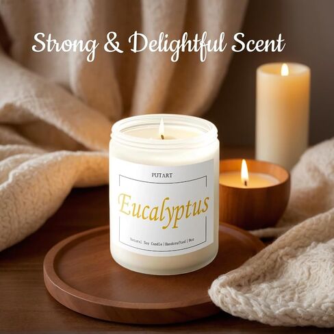 Eucalyptus Mint Highly Scented Candles, Natural Soy Aromatherapy Organic Non Toxic Candles with Long Lasting Burn, Luxury Essential Fragrance Jar Candle Gift for Birthday, Housewarming (9oz) in Saudi Arabia