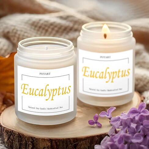Eucalyptus Mint Highly Scented Candles, Natural Soy Aromatherapy Organic Non Toxic Candles with Long Lasting Burn, Luxury Essential Fragrance Jar Candle Gift for Birthday, Housewarming (9oz) in Saudi Arabia