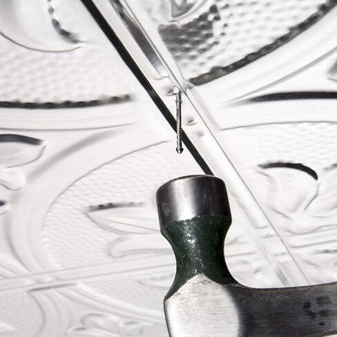 Nails Stainless in Saudi Arabia
