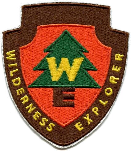 Disney Pixar Up Patch Senior Wilderness Explorer Embroidered On in Saudi Arabia