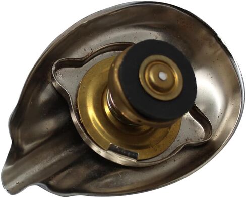 Raparts Chrome Type Type Cap (4 رطل) يناسب جرارات فورد 9n 2n 8n 2n-8100-a in Saudi Arabia