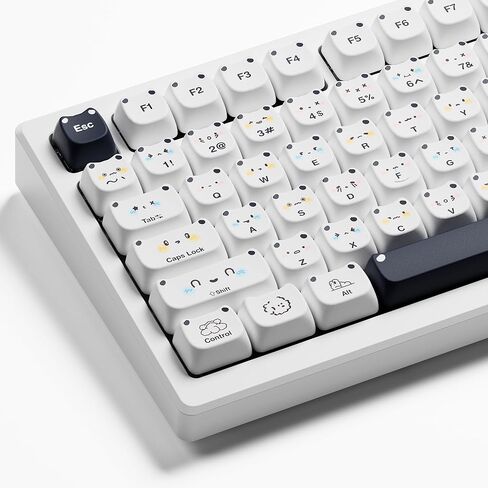 XDA Profile PBT Keycap Set, Retro Game Console Custom Keycaps, XVX Keycaps 60 Percent,Dye-Sublimation Keycaps Suitable for Most 65% 75% 100% Gateron Cherry MX Switches Mechanical Keyboard in Saudi Arabia