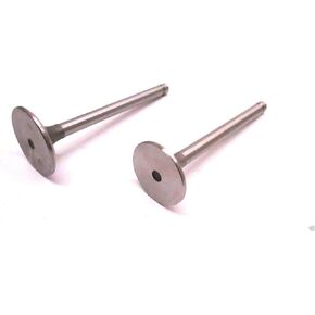 صمام العادم الأصلي Kohler 32-016-01-S و 24-017-01-S Valve OEM OEM in Kuwait