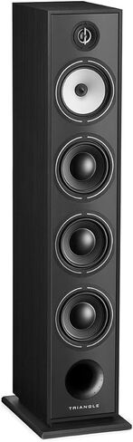 triangle Borea BR09 Hi-Fi Floor Standing Single Speaker (Walnut) in Saudi Arabia