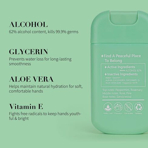 Power Mist Hand Sanitizer Spray, Scented Hydrating Hand Sanitizers Travel Size Refillable, Pocket Portable 1-Pack (Mint Reverie) 0.93Fl Oz 460-Sprays Each in Kuwait