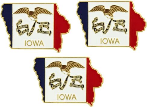 Pack of 3 State Map Shaped Lapel Pins; Three Tie Pin Badges in Kuwait