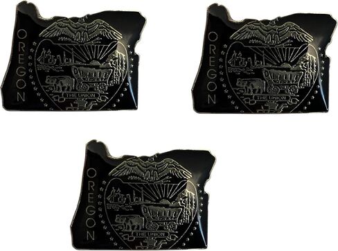 Pack of 3 State Map Shaped Lapel Pins; Three Tie Pin Badges in Kuwait
