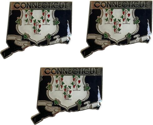 Pack of 3 State Map Shaped Lapel Pins; Three Tie Pin Badges in Kuwait