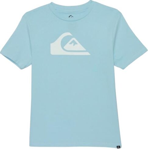 Quiksilver Big Boys Everyday Logo Core Short Sleeve T-Shirt, Sky Blue, Large in Saudi Arabia
