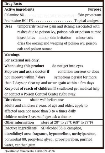 Caladryl Skin Protectant Lotion 6 oz (Pack of 2) in Kuwait