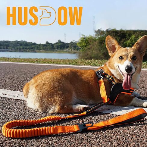 مقود الكلاب شديد التحمل مع حزام مقعد السيارة، مقود الكلاب المطاطي الممتص للصدمات بطول 6 أقدام، مقود تدريب الكلاب بدون سحب مع مقبض مزدوج للسلالات الصغيرة والمتوسطة والكبيرة (برتقالي) in Kuwait
