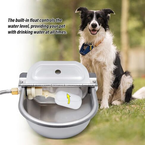 Automatic Waterer Dog Water Bowl Dispenser Livestock Water Trough Stainless Steel Auto Water Bowl for Horse Dog Cattle Chicken Pig Goat (Automatic Waterer) in Saudi Arabia