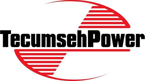 GENUINE OEM TECUMSEH PARTS - RING SET 310289A in Saudi Arabia