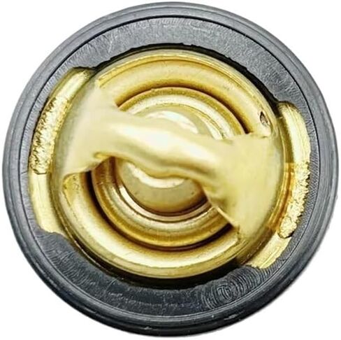 تناسب X5 X6 CF188 CF500 CF600 CF625 ATV UTV THERMOSTAT 0180‑022810 in Saudi Arabia