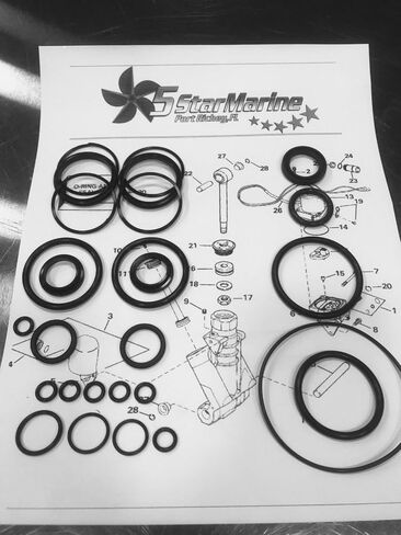 Rebuild Kit!! Johnson Evinrude OMC Trim & Tilt O-Ring & Seal Kit 434519 0434519 FSM011 in Saudi Arabia