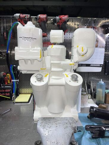 Rebuild Kit!! Johnson Evinrude OMC Trim & Tilt O-Ring & Seal Kit 434519 0434519 FSM011 in Saudi Arabia