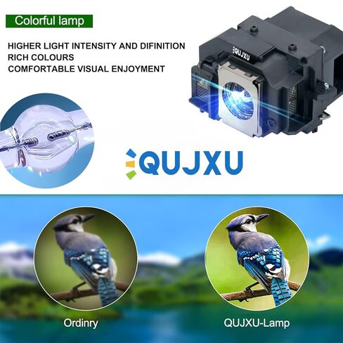ELPLP89 Replacement Projector Lamp for Epson V13H010L89 Powerlite Home Cinema 5040ub 5040ube 5050ub 5050ube 4010 4000 pro Cinema 4050 6040ub 6050ub eh-tw7300 tw8300 tw8300wProjector lamp Bulb in Saudi Arabia