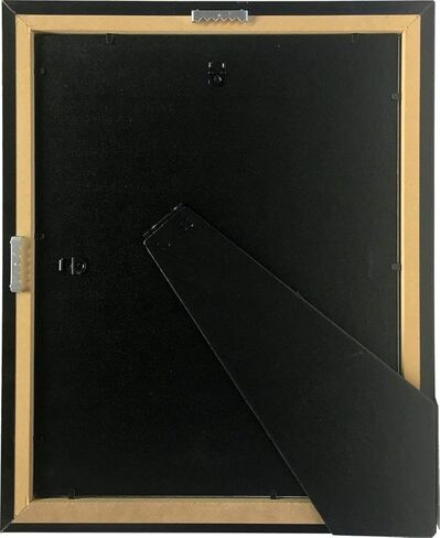 Creative Picture Frames Stainless Steel Finish Document Frame Displays 8.5" by 11" with Mat or 11" by 14" without mat includes Stand & Wall Hanger in Saudi Arabia
