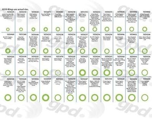 Global Parts Distributors - Oring Box Kit (5811618) in Saudi Arabia