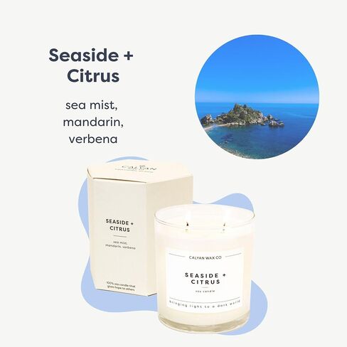 Calyan Wax Co. 2 Wick Candle, Seaside + Citrus Scented Candle, 37 Hour Burn Time, Aromatherapy Soy Candles, Non Toxic & Vegan Soy Wax, Glass Tumbler Scented Candles, 8.8oz in Kuwait